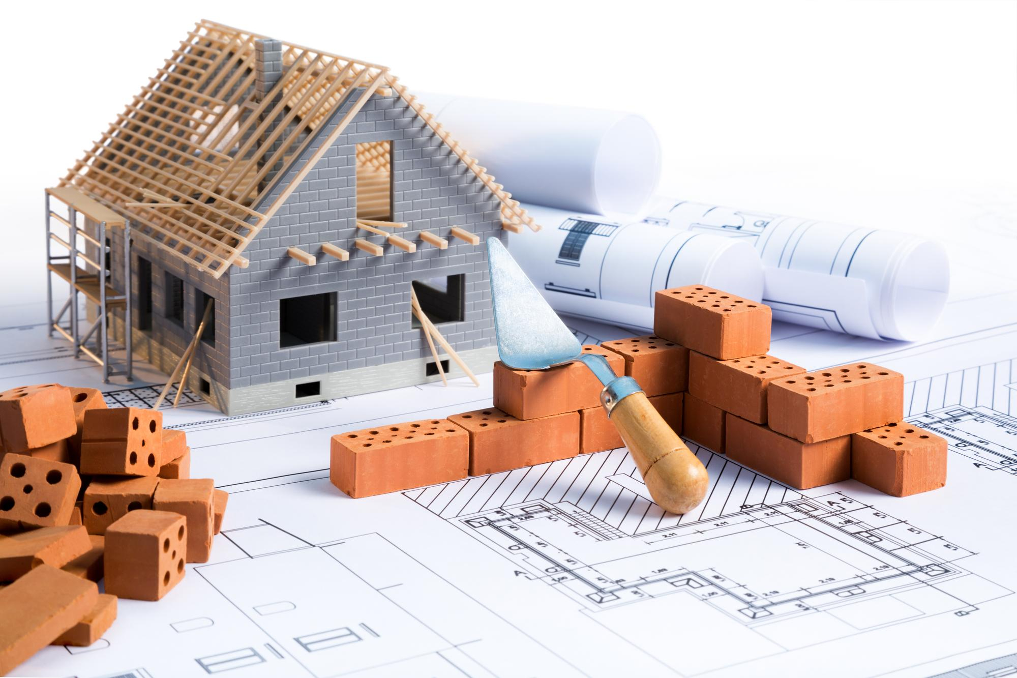 Ingeniería y estructura en desarrollo